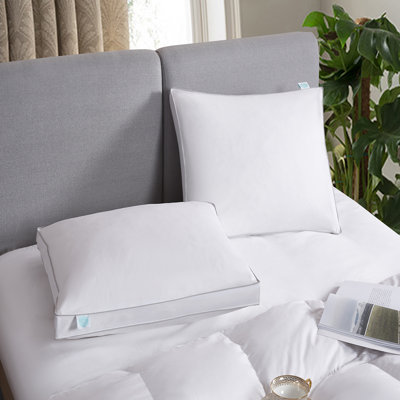 Down Blend L66.04 x W45.52cm Medium Support Pillow