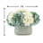 Hydrangea Arrangement in Pot