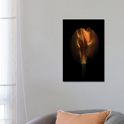 Orange Tulip 1 Piece Wrapped Canvas Wall Art