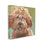 Peinture abstraite Goldendoodle par Jenny Westenhofer