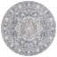 Oriental Area Rug in Grey / Blue-1959237780-1977920780
