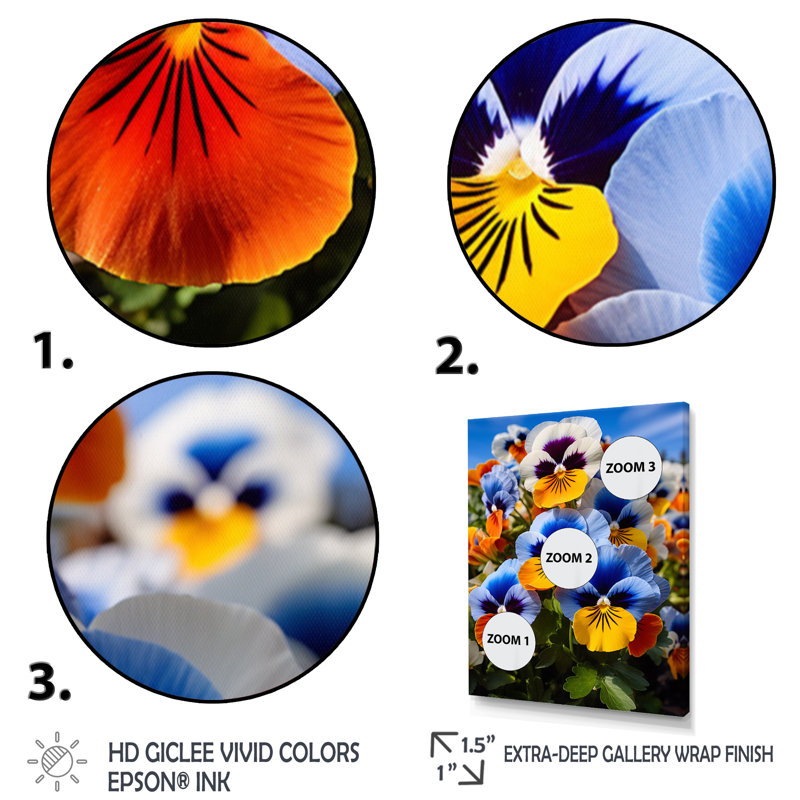 «Pansies Vibrant Pansies» sur toile, H 32 po x l 24 po x P 1 po, Cadre naturel flottant