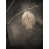 Black Framed Canvas is unavailable
