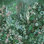 Floribunda Magna Floral Wall Mural