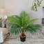 60cm Faux Palm Plant in Freestanding