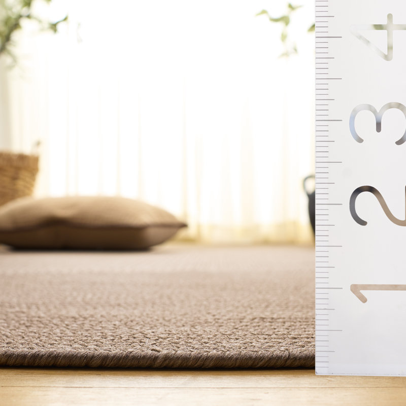Braided Hand Loomed Performance Solid Color Indoor Indoor/Outdoor Area Rug, Oval 3' x 5'