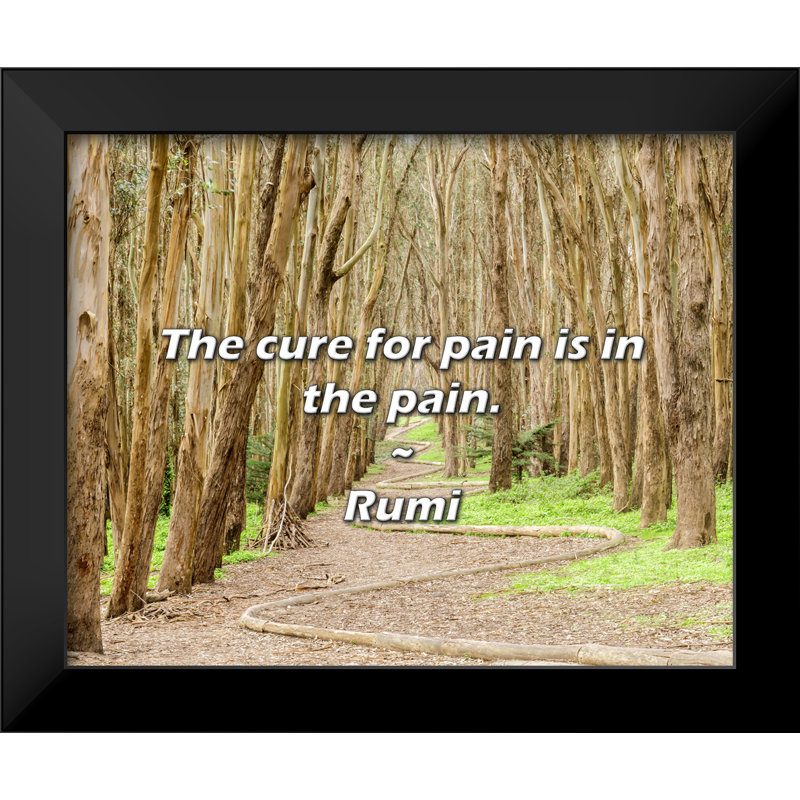 Rumi Quote: «The remède contre la douleur est dans la douleur».