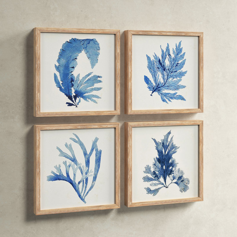 " Coral " 4 - Pieces