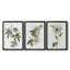Tropical Botanical I - Toile tendue avec châssis sur mesure - 3 pièces-174538447-174538445