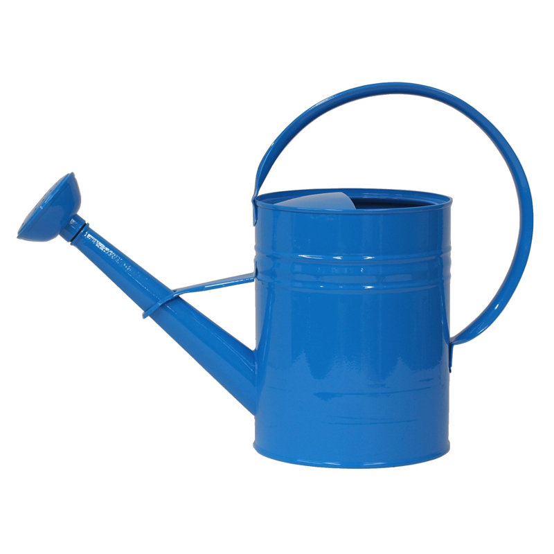 Arrosoir en acier galvanisé émaillé 1 gallon, Bleu