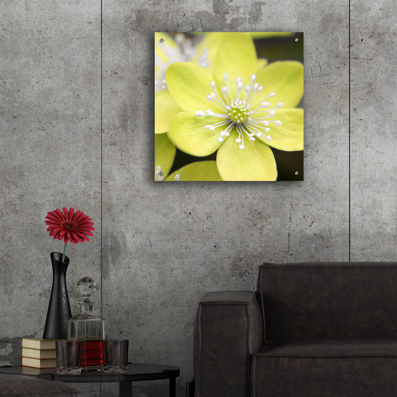 «Yellow Blossom» par PhotoINC Studio, H 24 po x l 24 po x P 0,2 po