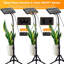 Maker Network Grow Light