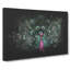 Mesmerising Pink & Green Peacock - Wrapped Canvas Print-56639326