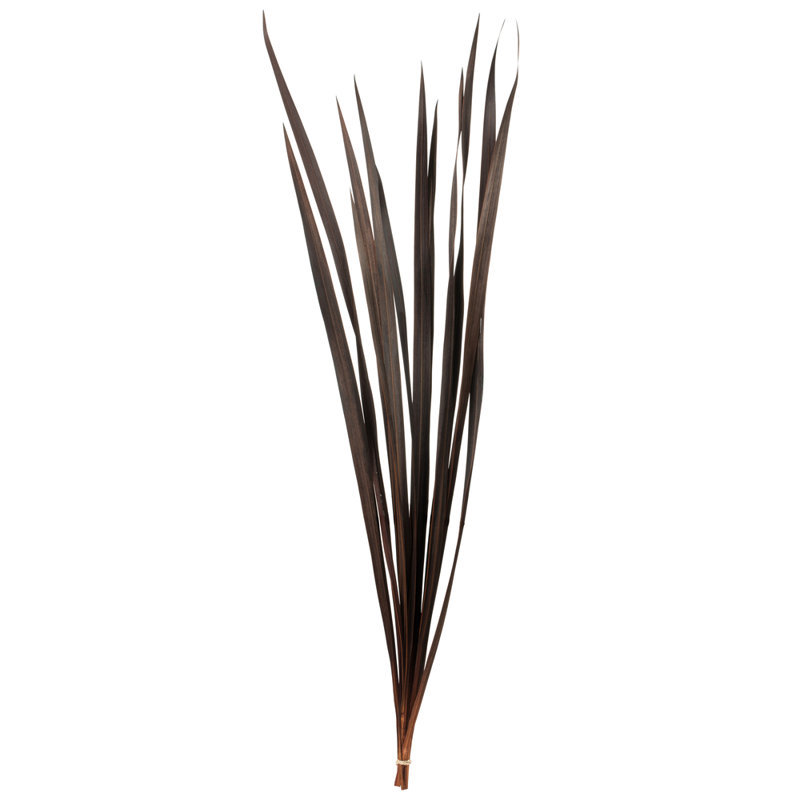 18'' Grass, Brown