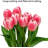 Faux Flowers - Tulip 8PCS