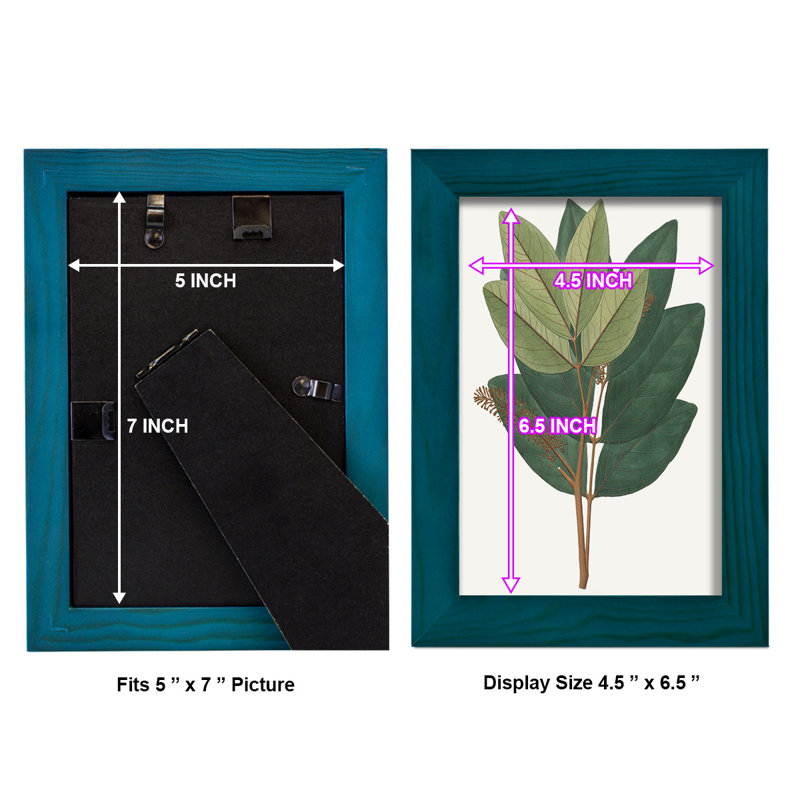 Fall Foliage IV, reproduction d'art encadrée, H 8 po x l 6 po x P 1 po, Bleu