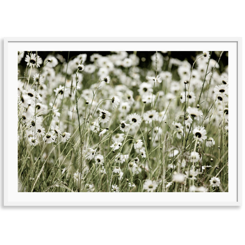 Wild Flowers Print by Carly Tabak, White Wood, 36" W x 26" H