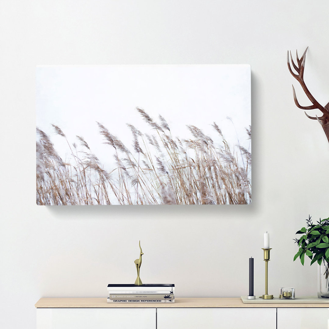 Reeds Blowing In The Wind - Wrapped Canvas
