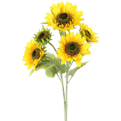 Tige de tournesol pleine floraison