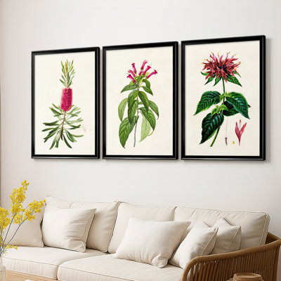 Pretty Pink Botanicals VII -Custom Framed Wrapped Gallery Canvas - 3 Pieces