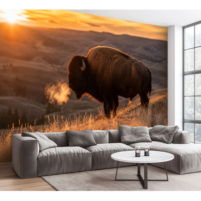 Wall Mural Peel and Stick Wallpaper Bison Standing Golden Grassland Sunset Warm Mountain Landscape Self-Adhesive Removable Contact Paper Wall Decor for Living Room Bedroom 100"H x 144"W