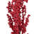 Muriel Red Berry Bush