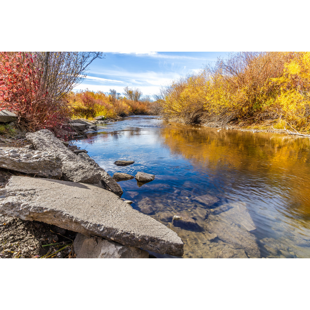 Cherry Creek State Park von IslandLeigh - Drucken