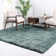 Indoor Rug