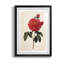 Red Botanical III - cadre photo, impression-1923949956-1923949958