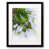 Black Framed Paper selected