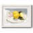White Framed