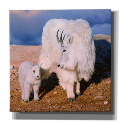 " Above The Clouds Mother And Kid " by Lena Owens