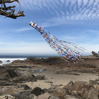 Manche à vent holographique Mylar