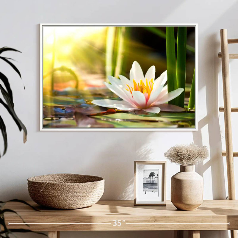 Sunlit Water Lily, Floating Frame White, 25" X 17"