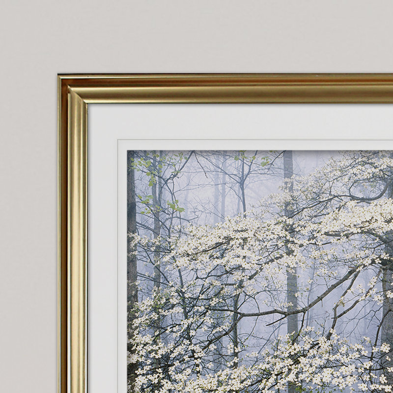 « jones _ dogwood auvent », reproduction d’impression sur toile tendue, H 30 po x l 40 po x P 1,5 po, Cadre doré