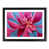Black Framed selected