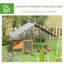 Weather Resistant Chicken Cage