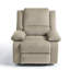 Ameiah Recliner-289739332