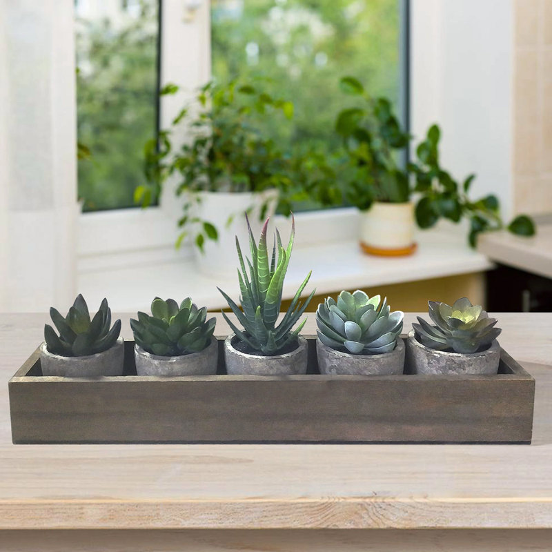 5 pièces plantes succulentes artificielles en pot, assorties de plantes grasses décoratives en pot avec pots