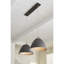 Médaillon de plafond accessoire suspendu