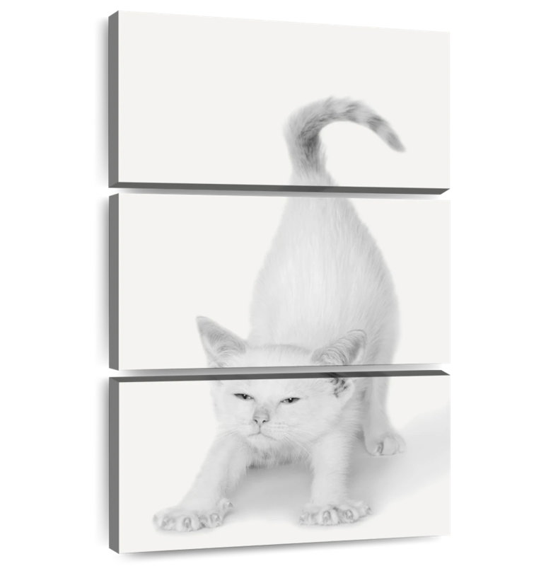 Brampt Bonjour Kitty, 50" H x 32" W
