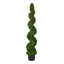 Arbre en spirale de buis vert Wolfdale-20583855