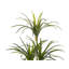 147 cm H Faux Dracaena Plant in Plastic Planter