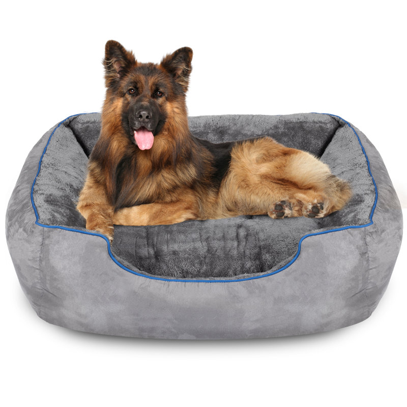 Lit pour chien, Gris, H 9 po x l 30 po x P 24 po