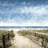 "Coastal Trails" Painting Print On Wrapped Canvas-434246537