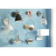 Lidia Spotlight-28901802-28901806