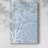 Shell Silhouettes I -Gallery Wrapped Cavas-488798422