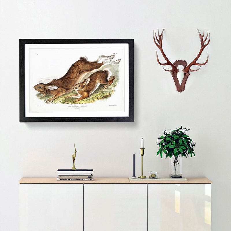 Northern Hares by J.W. Audubon - Picture Frame Painting Print, Black Framed, 62cm H x 87cm W x 2cm D