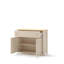 Taevon Cabinet/Enclosed Storage
