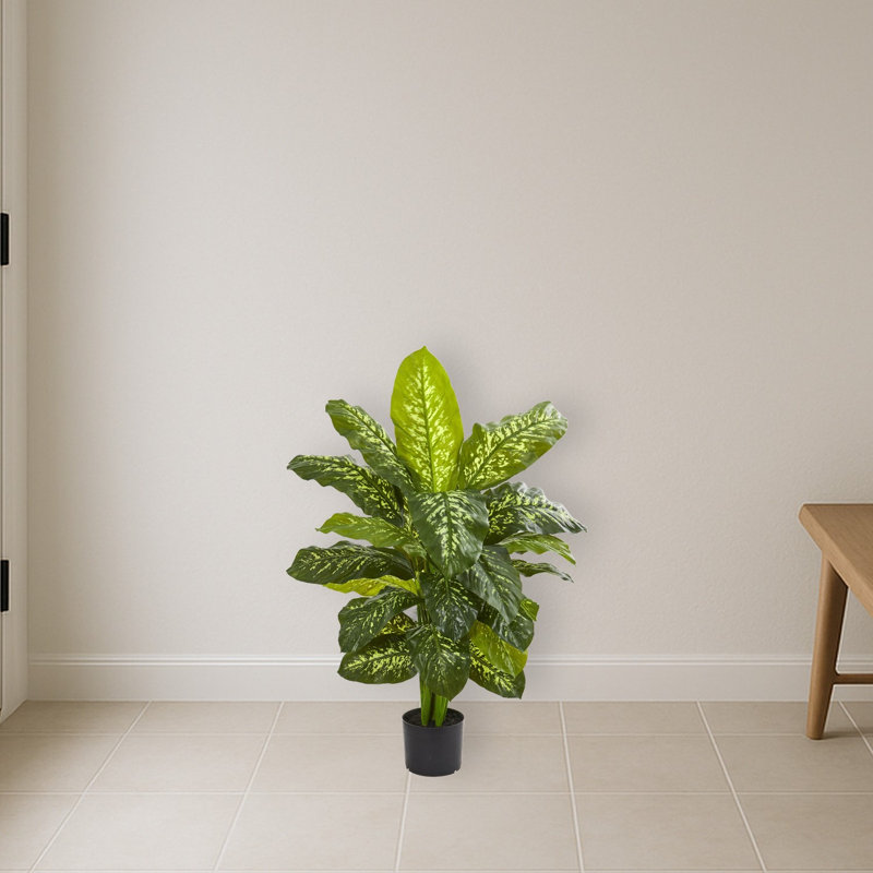 Dieffenbachia Artificial Plant
